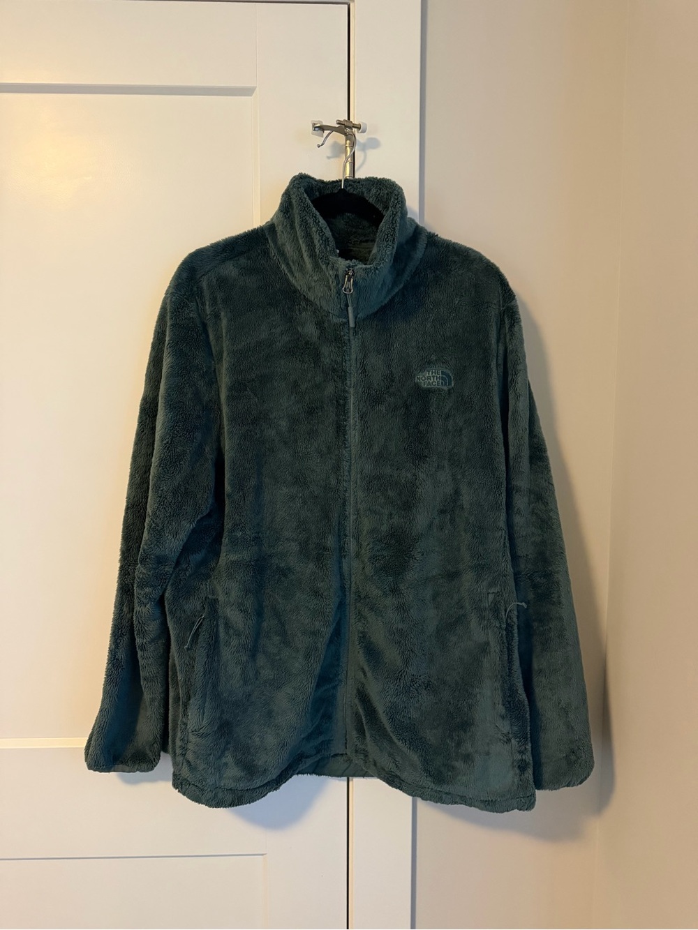 The North Face Plush Zip-Up Jacket in Teal Green
